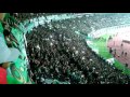 Kami bukanlah suporter yng kampungan Chant bonek sahut2tan