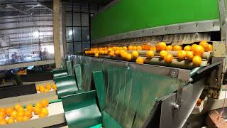 Sorting process - 12 year old installation | Vizier Systems