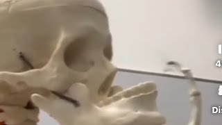 0% Mewing - 100% Mewing