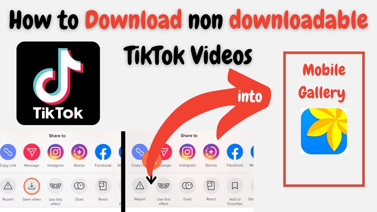 how-to-download-non-downloadable-tiktok-videos-2021-how-to-download