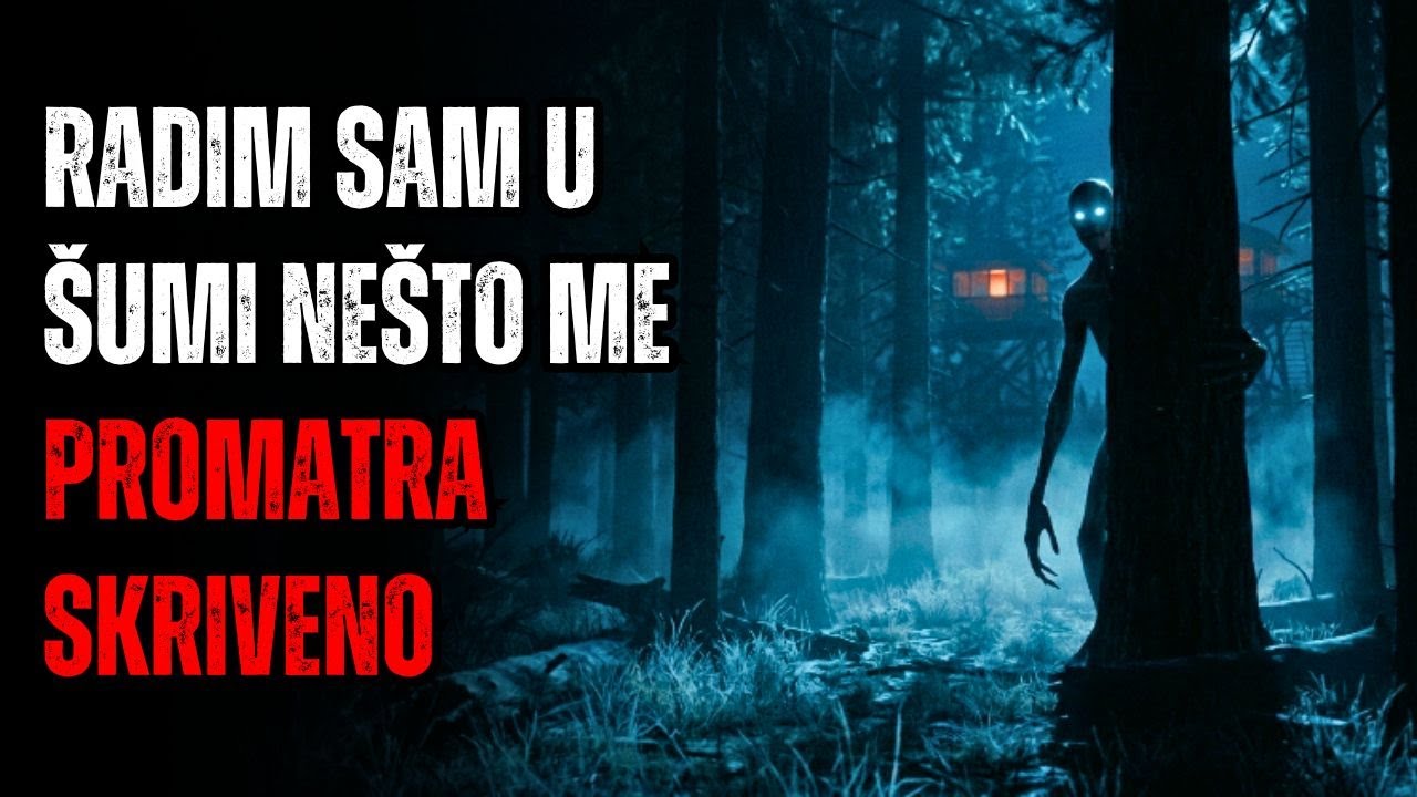 Ja Sam Protupožarni Čuvar u Ekološkom Parku. Nešto Me Promatra Svake Noći.