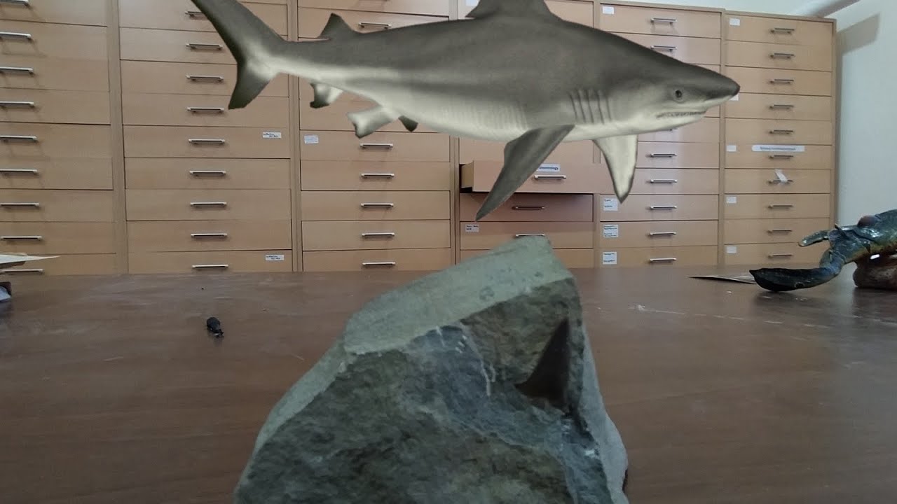 museum project ( prehistoric seas ) - YouTube