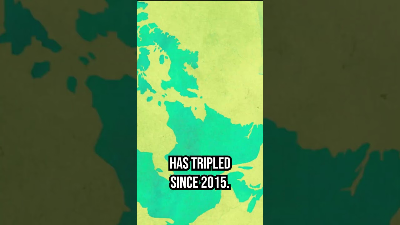 Right-wing extremism is on the rise  | Unravelled