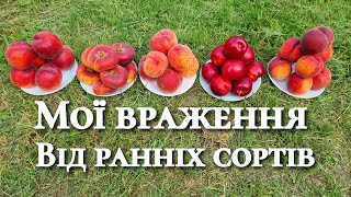 Що обрати собі в сад. Гарні сорти для доброго господаря.