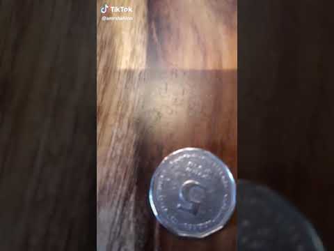 وااااال 5 شيكل