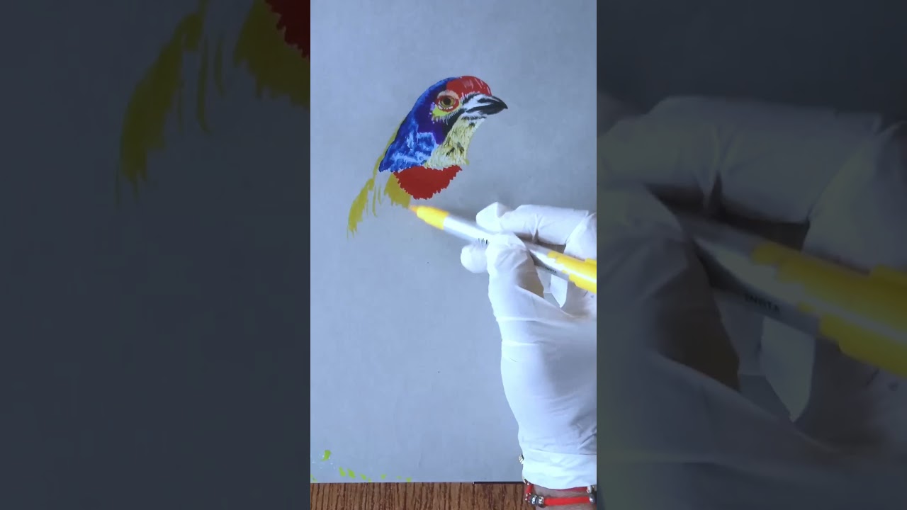 Dom's brush pen art -1💖bird drawing