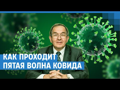 Как проходит пятая волна ковида в Новосибирске — рассказывает вирусолог Сергей Нетёсов | NGS.RU