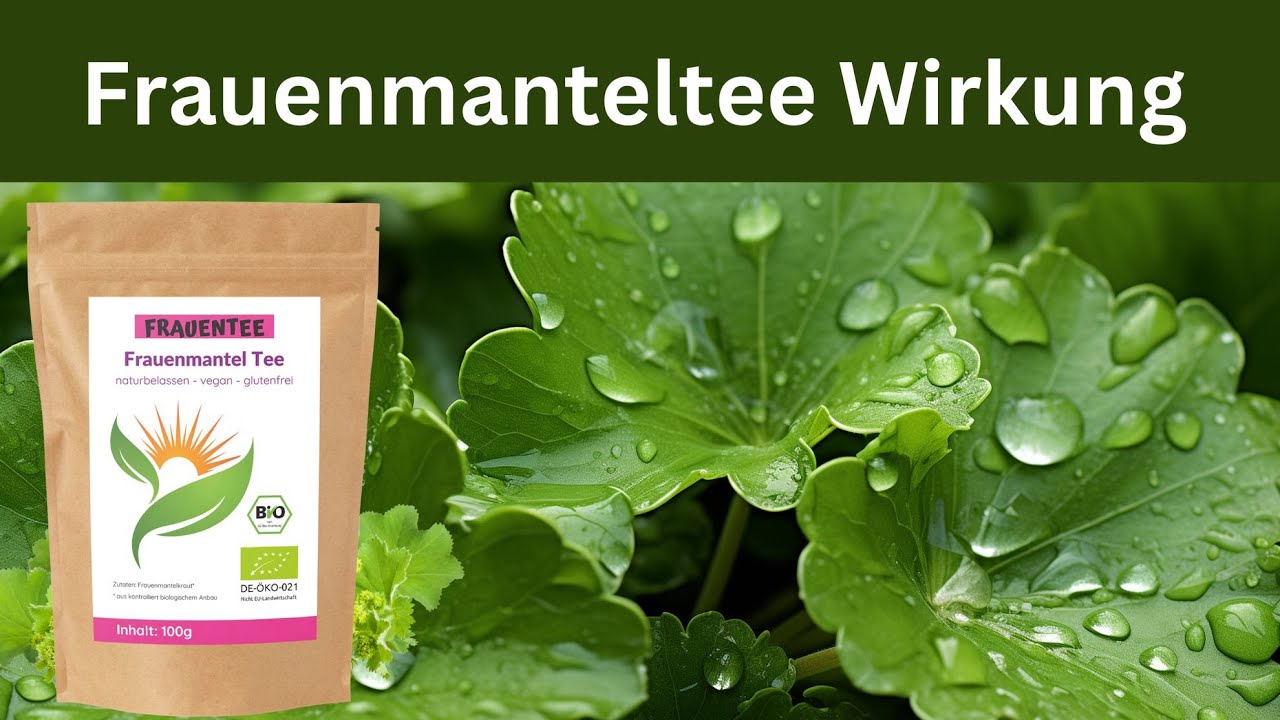 Für Was Ist Frauenmanteltee Gut www.youtube.com
