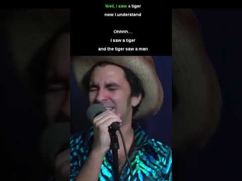 tiger king karaoke (emotional) - tiger king karaoke (emotional)