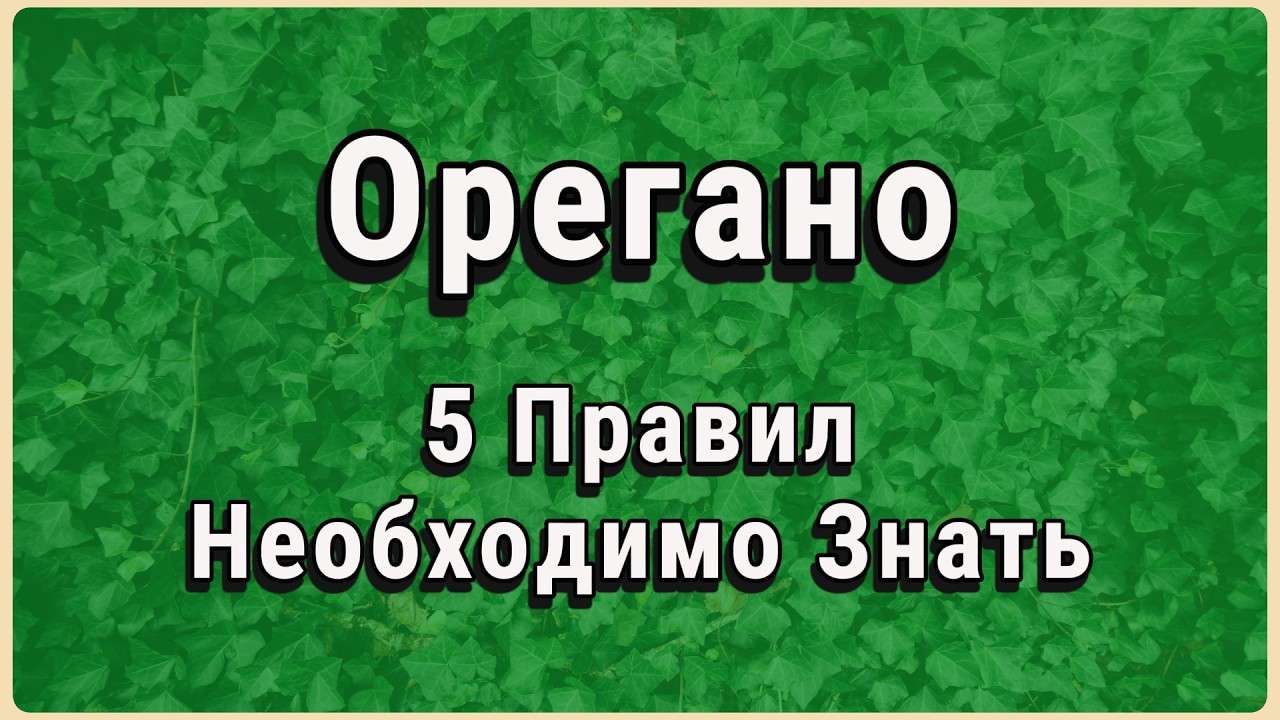 Орегано после 50: эффект, о котором редко говорят.