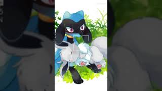 cute riolu and eevee