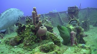 Roatan Diving  El Aguila Wreck Dive