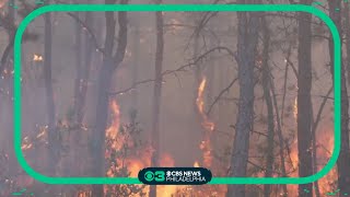 Investigators trying to determine if smoke from wildfire caused plane crash in NJ