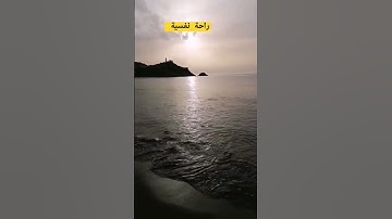 #تلاوة_رائعة #تلاوة_خاشعة #تلاوة_هادئة #تجويد #سحيم #عبدالعزيز_سحيم #الجزائر #السعودية #تصويري #قرآن