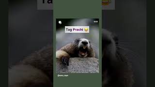 #comdyshorts video so funny name Prachi comments you name