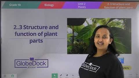 Grade 10 Biology unit 2 2.3 Structure and Functions of Plant parts