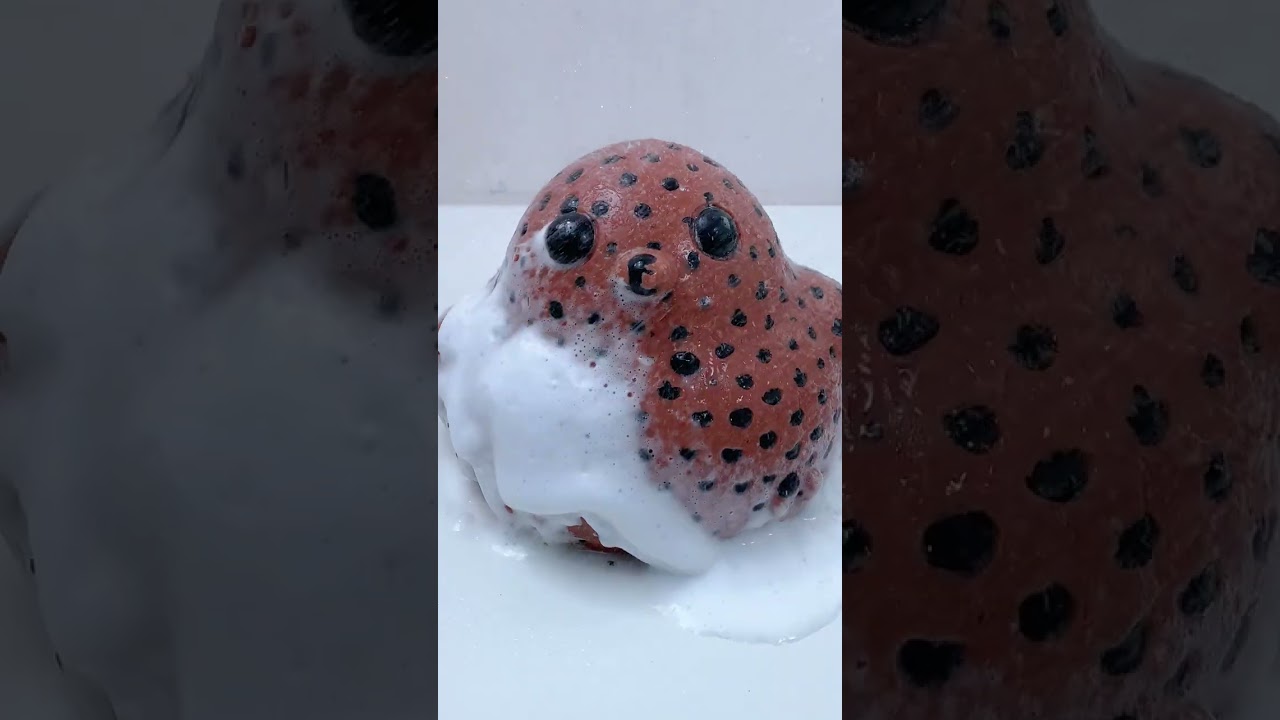 FUFUSQUISHY ASMR 🐤🐤Chick