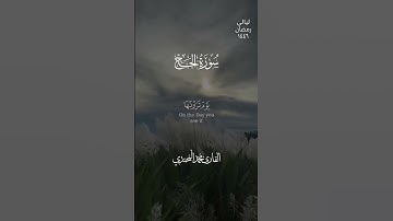 يا أيها الناس اتقوا ربكم بصوت القارئ محمد المحمدي من سورة الحج