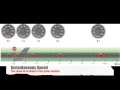 Understanding Speed, Velocity, and Acceleration