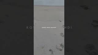 Download Lagu nanging saiki koe ono ngendi #sepinewengi #happyasmara MP3 Download Lagu nanging saiki koe ono ngendi #sepinewengi #happyasmara MP3