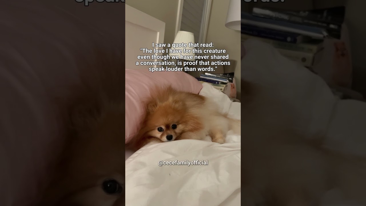 Proof that actions speak louder than words