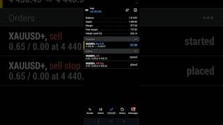Gold Hammer HFT EA MT5  #shortvideo #forex