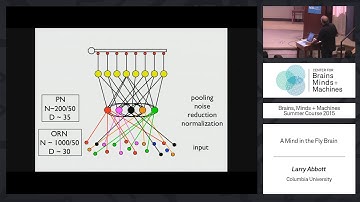 Seminar 1: Larry Abbott - Mind in the Fly Brain