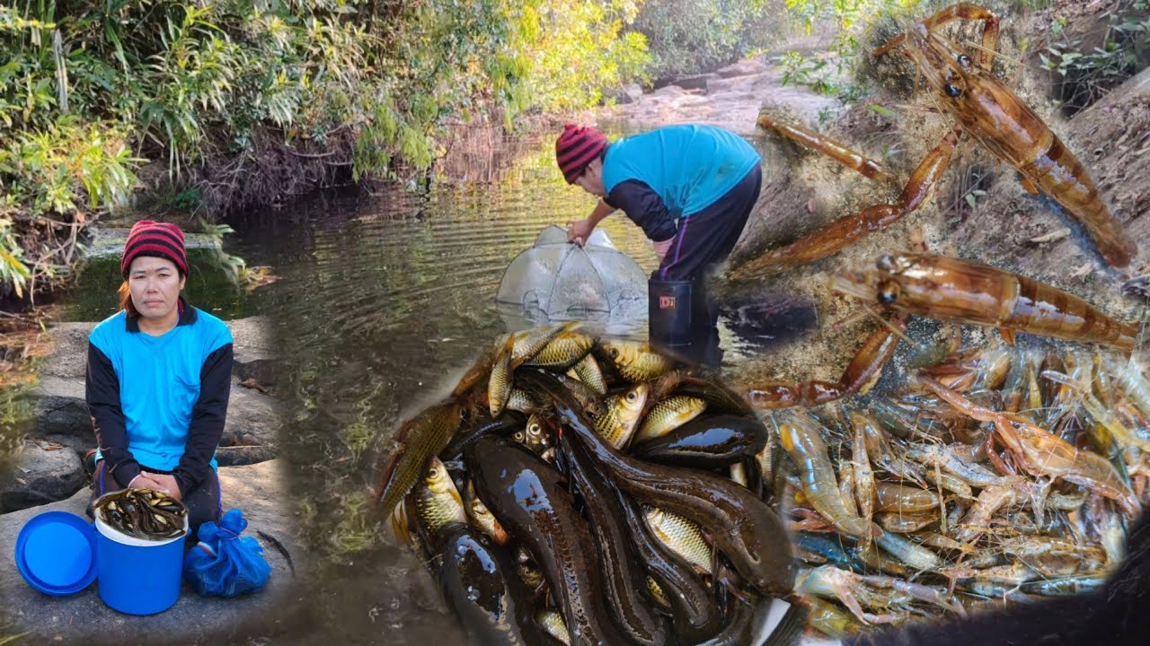 ใส่ตุ้มค้างคืนวันนี้หมานพอได้อยู่ได้กิน