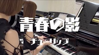 「青春の影」弾いてみた♪【ちょこっとピアノ♪】 - 演奏動画のサムネイル