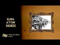 Elma Attım Denize