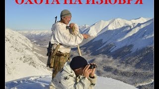 Охота на Изюбря Охота и рыбалка в Якутии Охота на Изюбря Охота и рыбалка в Якутии