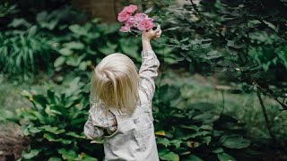 Walk Through The WORD - Genesis 35 & 36- 3/19/21