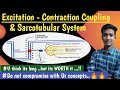 Sarcotubular System|| Excitation-Contraction Coupling|| Nerve Muscle Physiology || hindi || Ashish