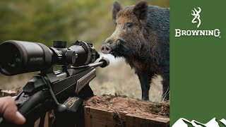 Hunting monster boar in Scotland