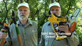 My Favorite Pruners Dewalt 20V Max Pruning Shears & Stihl Mini Chainsaw Net Worth