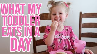 WHAT MY TODDLER EATS IN A DAY// PICKY EATER MEALS
