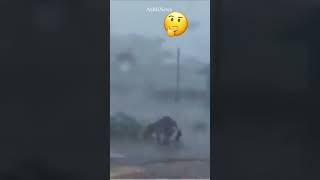 #Shorts Reporter gets taken out by tree branch while covering Hurricane Ian