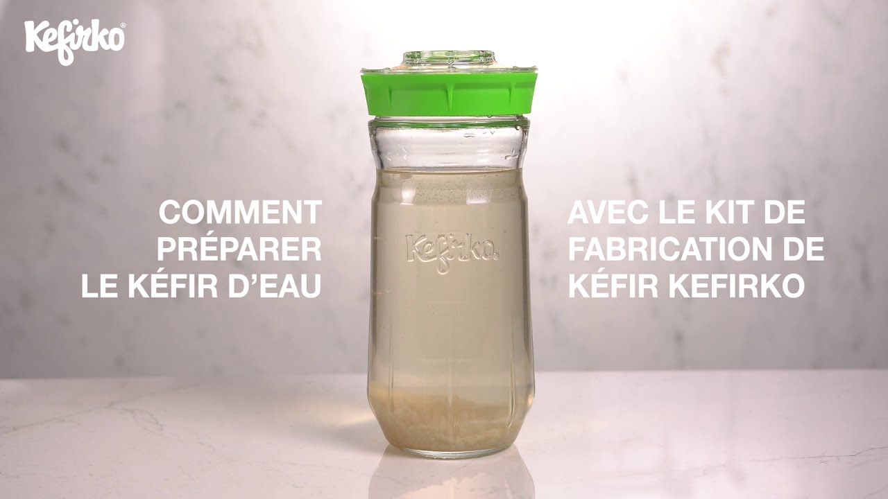 Kit de fabrication kéfir 848ML BLEU - Le kéfir fait maison/Kits kéfir seul  : eau ou lait 