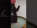 الحمد لله حتي يبلغ الحمد منتهاه احلي نصيب