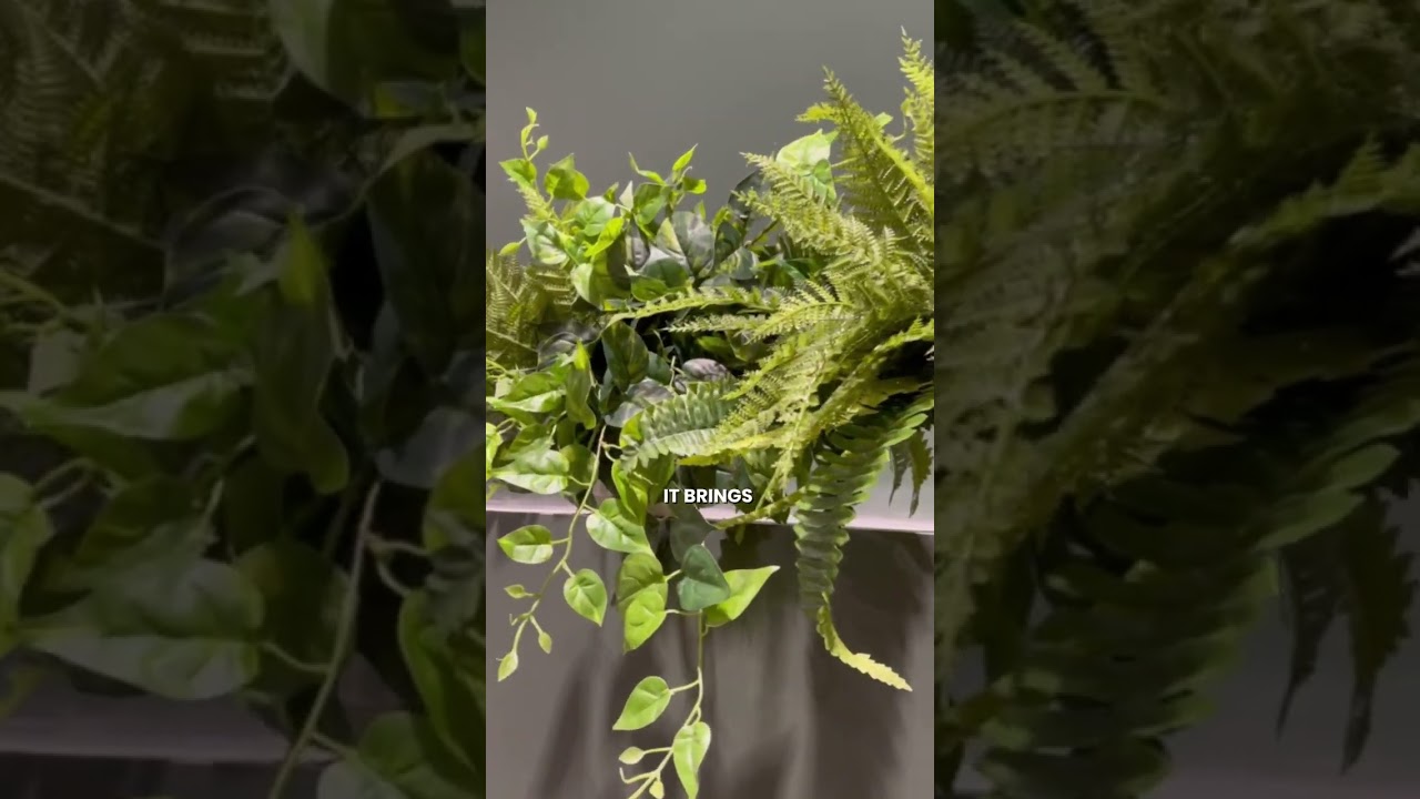 Checking in on last year's project with @locaqualitymarket 🤍