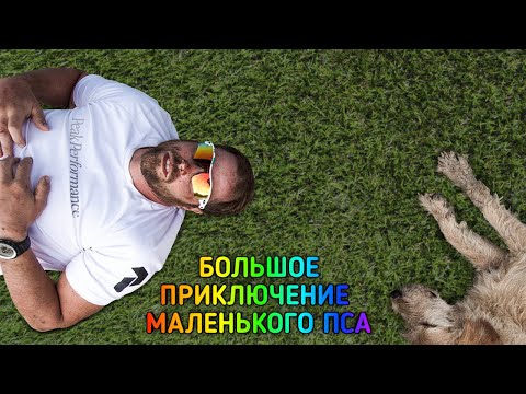 Видео: Приключение Изменившее Жизнь