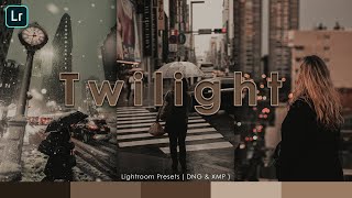 Lightroom Mobile Twilight Presets | Free DNG and XMP screenshot 4