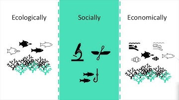 Project plan of mapping shallow reef benthic habitat with satellite image