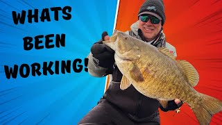 Baits that have been catching some HUGE Smallmouth Bass this year!