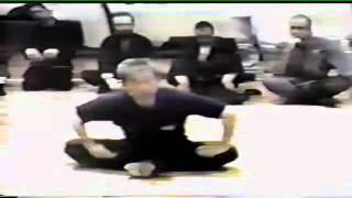 Hatsumi Sensei Ryutai Undo Ho Dragon Body Exercises