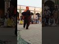 mushkil kusha ali meri hajat
