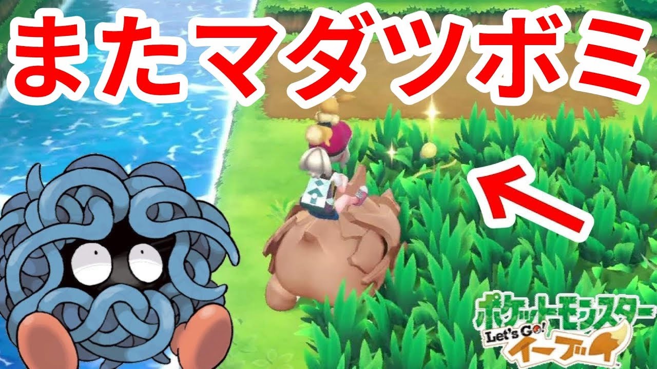 色違いはまたマダツボミなのか ポケモンlet Sgo イーブイ Youtube