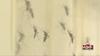 City of Sioux Falls beginning to spray to control pests