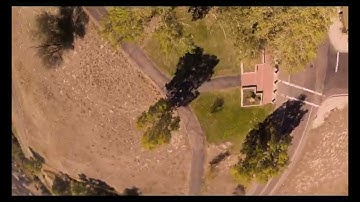 NANOPHAUGE HOMUNCULUS