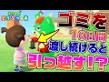 【あつ森】正直引っ越して欲しい住民に10日間ゴミを渡し続けたら引っ越すんじゃね?【あつまれどうぶつの森】